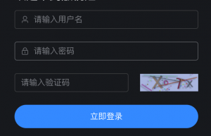 【代码分享】纯前端四位验证码-帆越资源站